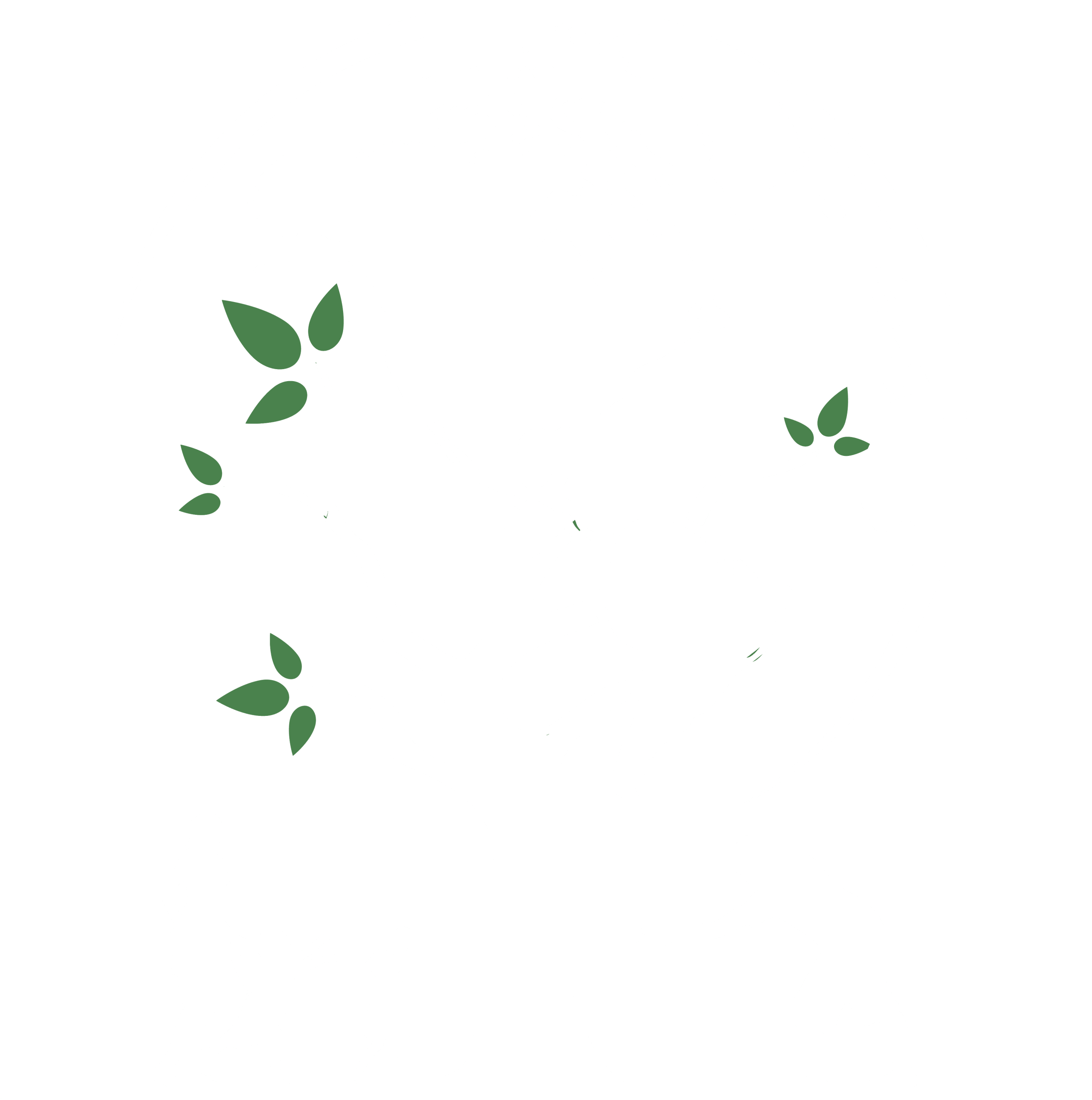 Aclara Immigration